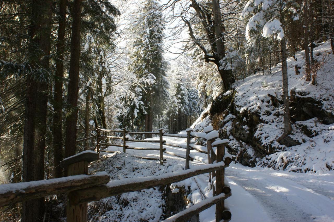 Haus Am Stein Lägenhet Finkenberg Exteriör bild